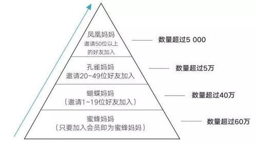 小群效应 让产品数据迎来漂亮拐点的关键利器